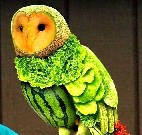 Animals made out of fruit and vegetables